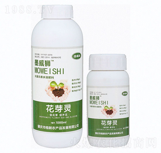 �����״���Ԫ��ˮ�ܷ�-ī���{��ѿ�`-�����r(n��ng)�I(y��)