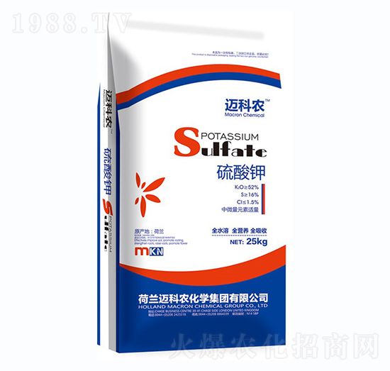 �����-�~���r-�Έ�����