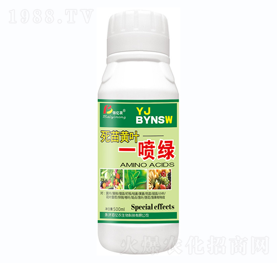 �����S�~һ���G-�����S