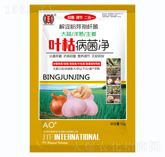 ���������[������-�~�ݲ�����-�����S