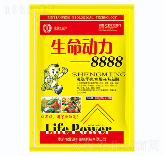 ��������8888-�����S