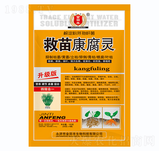 ���翵���`-�����S