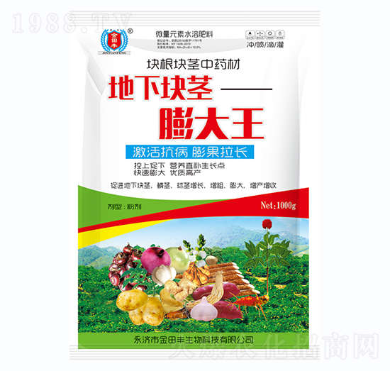 ���K�o�����-�����S