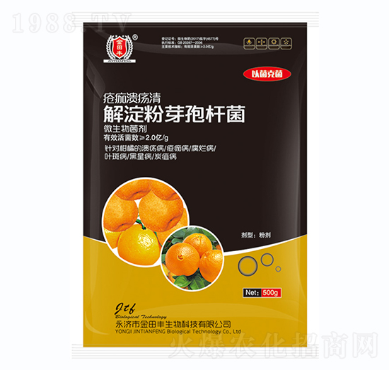 �����ѿ�ߗU��-���蝢����-�����S