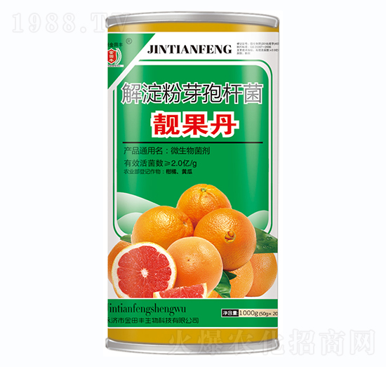 �����ѿ�ߗU��-�n����-�����S