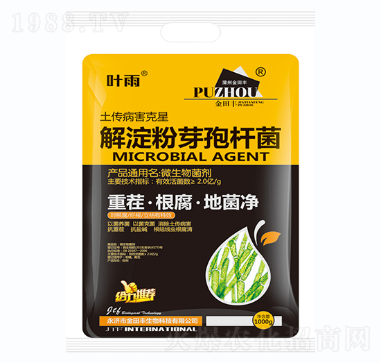 �����ѿ�ߗU��-�ز硤�������ؾ���-�����S