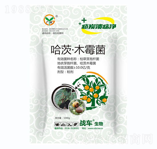 ����ľù��-��̿������-��(zh��n)܇