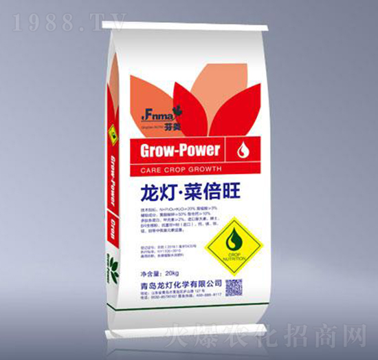 �������˱���-����-����