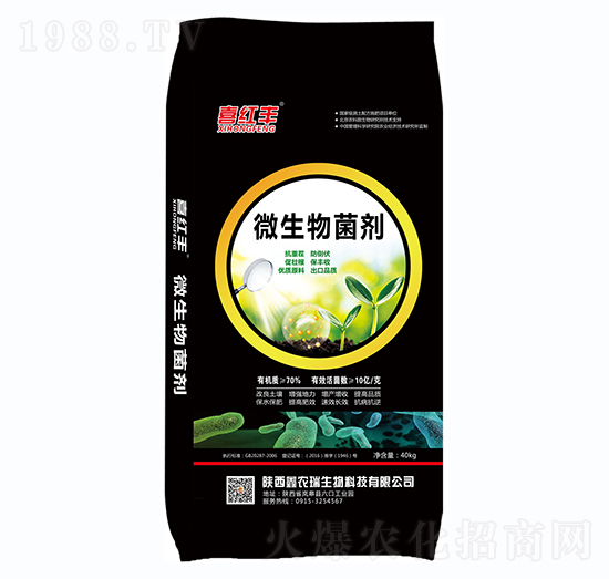 ΢�������-ϲ�t�S-���r��