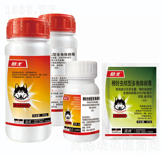 20�|PIB����x���Ͷ���w����-�Ҹ�-�{(l��n)��Ʒ��