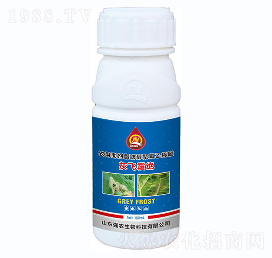 ���w˪�^-���r����