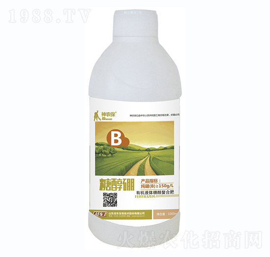 �Ǵ���-��(zh��n)܇(ch��)