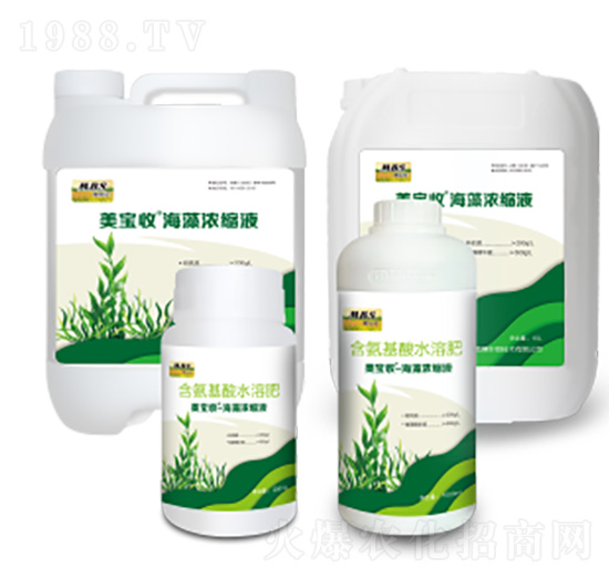 �����sҺ-������-�M������