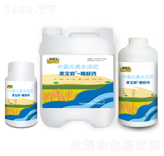 �Ǵ��}-������-�M������