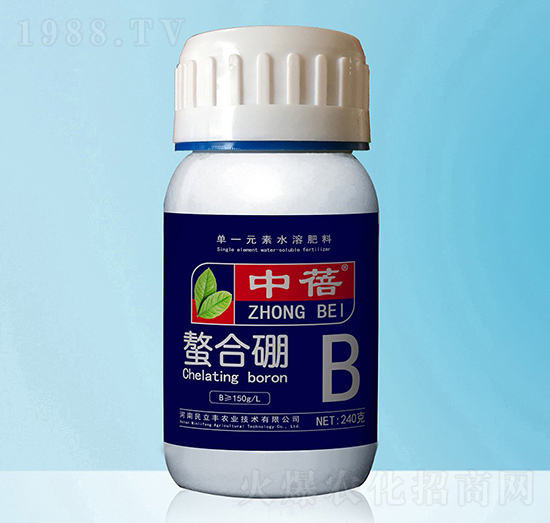 ������-����-�����S