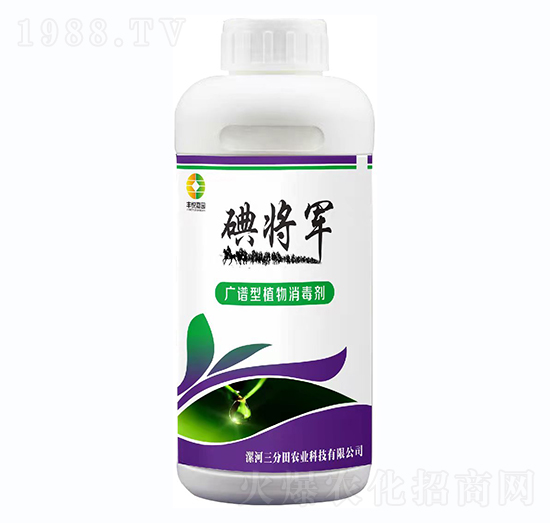 �V�V��ֲ��������-�⌢܊-������