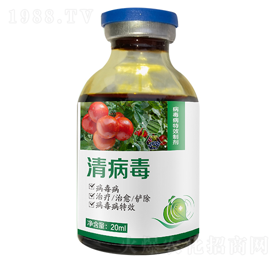 �������Ƅ�-�岡��-������