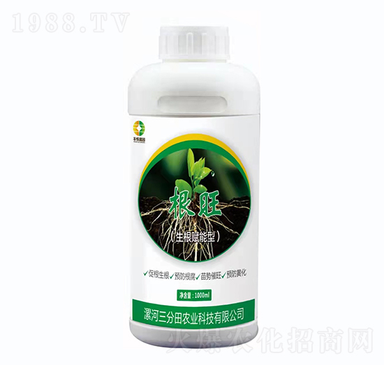 �����x����-����-�S���Έ@-������