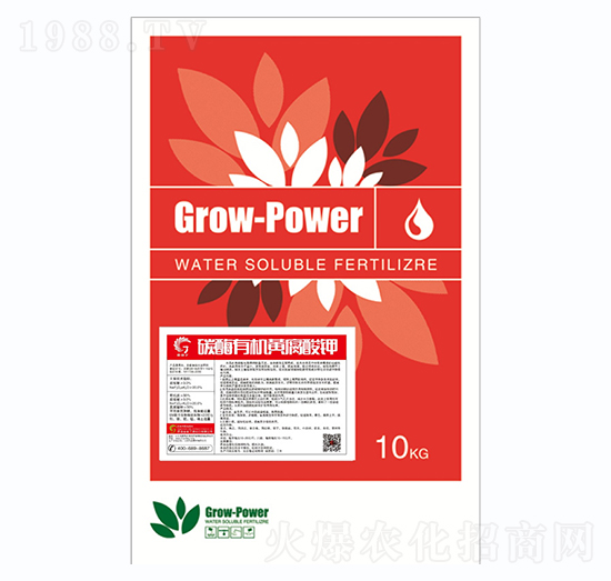 ̼ø�ЙC(j��)�S����-��ȶ�