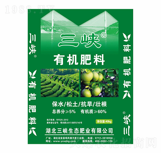 �ЙC(j��)����-���{���B(t��i)