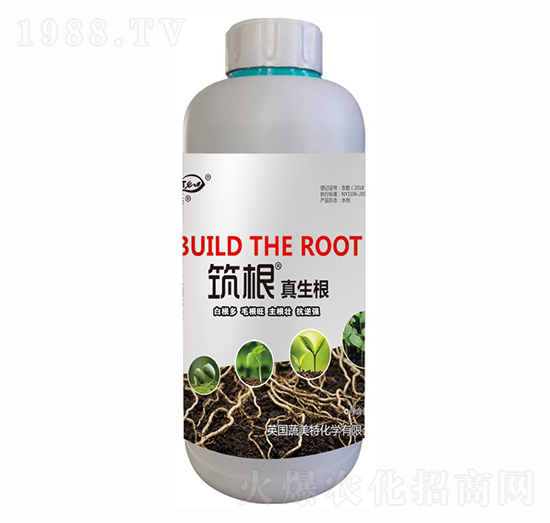 ����������-������