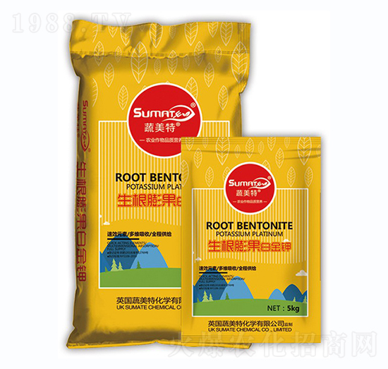 ��������׽��-������