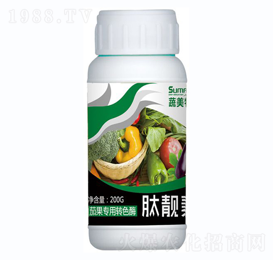 �ѹ������Dɫø-���n��-������