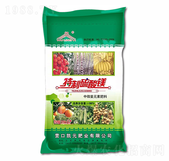 ���|�����V-���ʘI(y��)