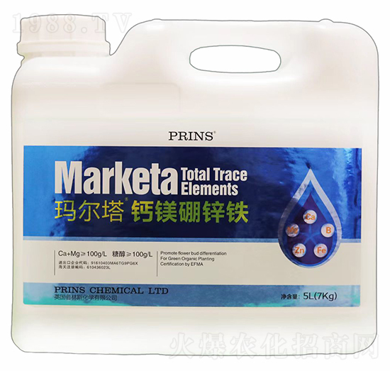 �������}�V���\�F-Ӣ������˹