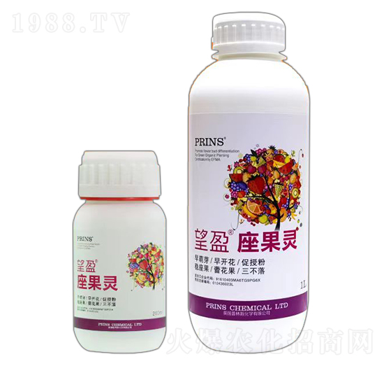 ��ӯ�����`-Ӣ������˹