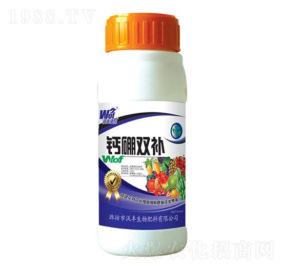 �}���p�a-���S���r-���S����