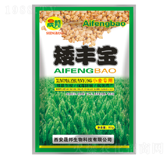 ���S��С������-�ɰ�����