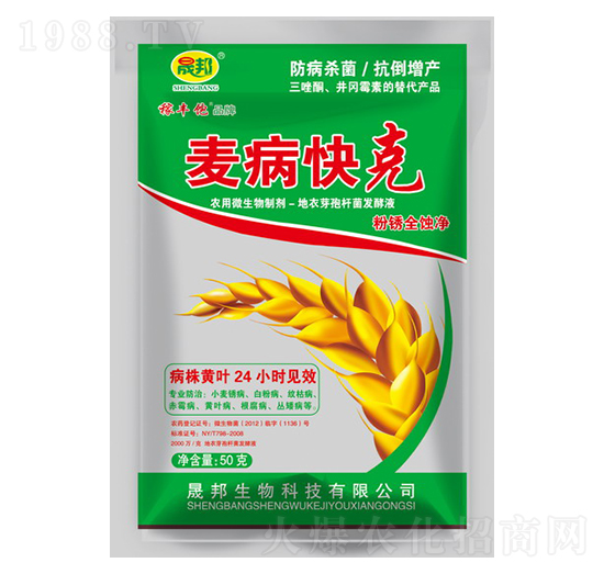 �������-�ɰ�����