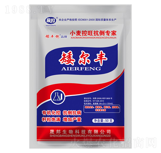 �����SС��������������-�ɰ�����