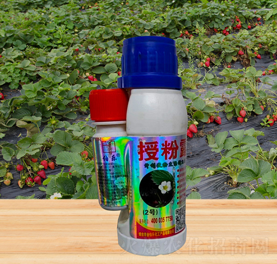 �ڷ�¶-�𲮘�