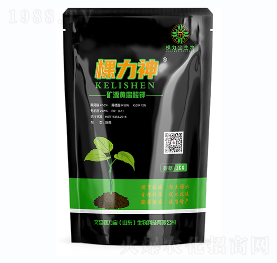 �VԴ�S�����-������-�Ľ��w����