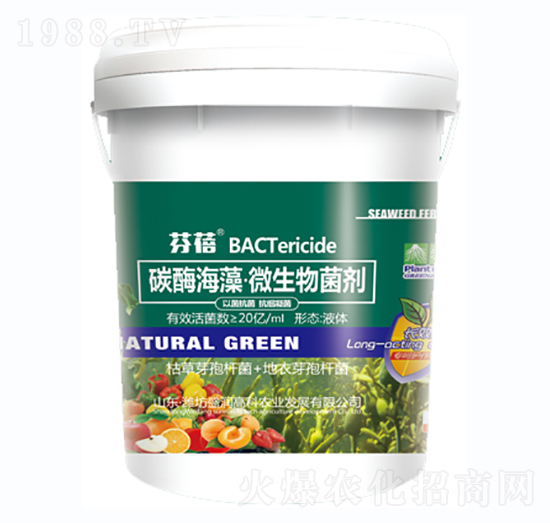 ̼ø���塤΢�������-����-ʢ��(r��n)�߿�