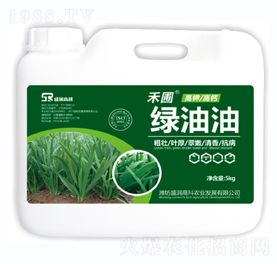 �G����-ʢ���߿�