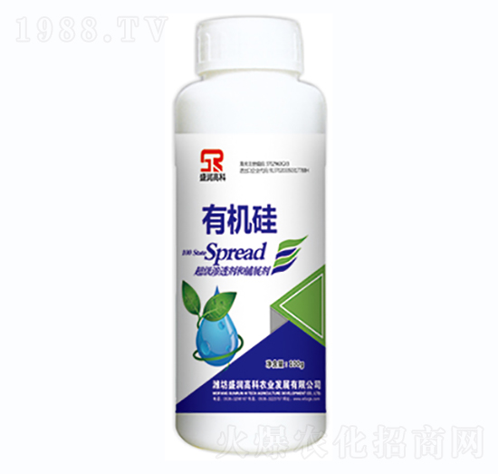 �ЙC(j��)��-ʢ��(r��n)�߿�