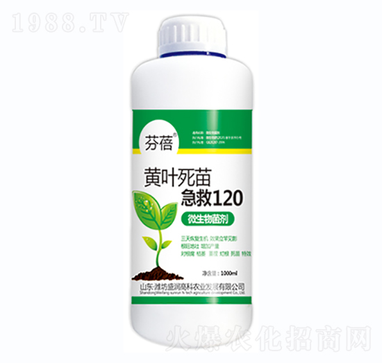 �S�~���缱��120-����-ʢ���߿�