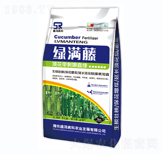 픻�����ֱ�G-�G�M��-ʢ���߿�