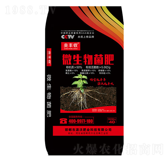 ΢�������-���r�ʘI(y��)