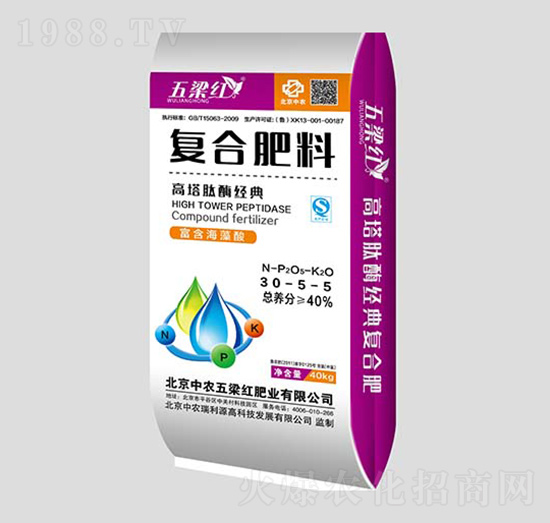 ������ø����ͺϷ���30-5-5-�����t