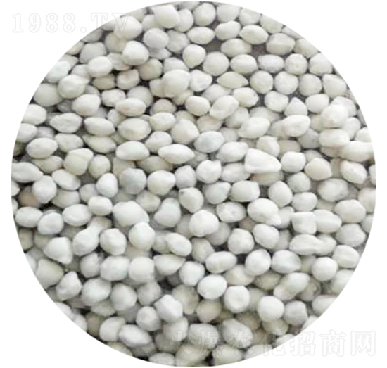 �Ȼ��@�D���w��-˼�˻���