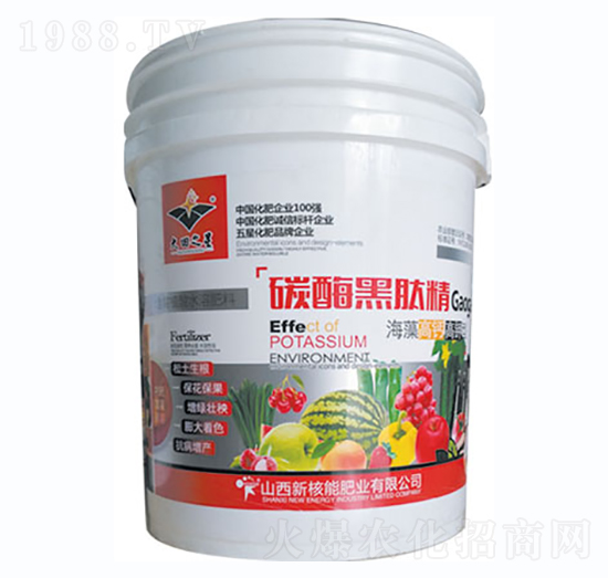 碳酶黑肽精-新核能