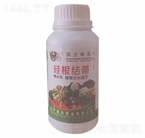 ΢�������-�w���Y(ji��)��-ʩ�ѷʘI(y��)