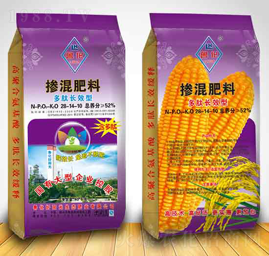 �����LЧ�͓������28-14-10-������ꖹ�