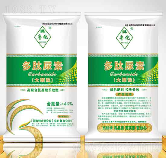 ���Ĵ��w������-������ꖹ�