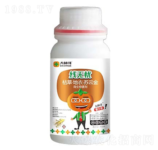 ���o�n��΢���������-������