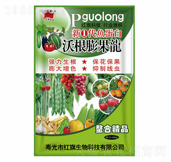 �ָ������-���S-�t������